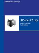 ib series p2